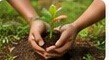 Tree Plantation Drive for a Green Tomorrow